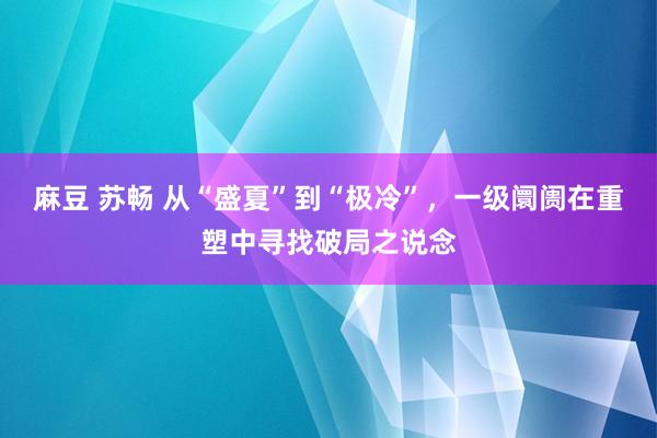 麻豆 苏畅 从“盛夏”到“极冷”，一级阛阓在重塑中寻找破局之说念