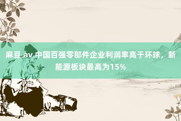 麻豆 av 中国百强零部件企业利润率高于环球，新能源板块最高为15%