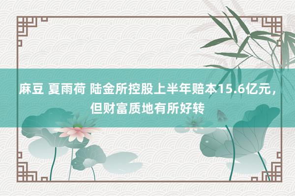 麻豆 夏雨荷 陆金所控股上半年赔本15.6亿元，但财富质地有所好转