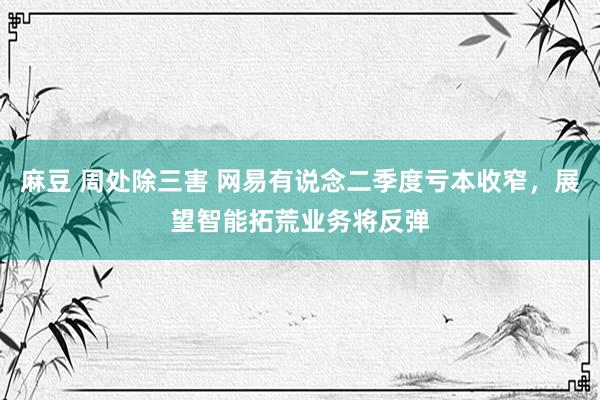 麻豆 周处除三害 网易有说念二季度亏本收窄，展望智能拓荒业务将反弹
