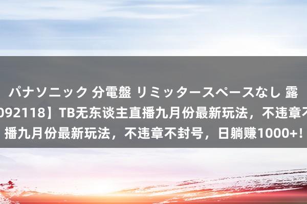 パナソニック 分電盤 リミッタースペースなし 露出・半埋込両用形 【092118】TB无东谈主直播九月份最新玩法,不违章不封号,日躺赚1000+!