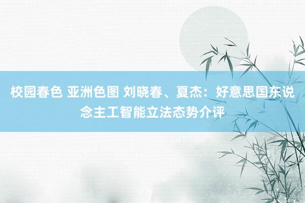 校园春色 亚洲色图 刘晓春、夏杰：好意思国东说念主工智能立法态势介评