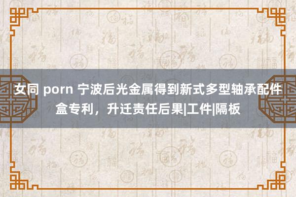 女同 porn 宁波后光金属得到新式多型轴承配件盒专利，升迁责任后果|工件|隔板
