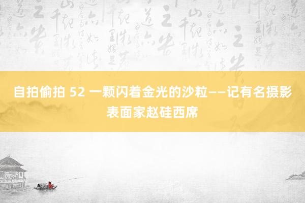 自拍偷拍 52 一颗闪着金光的沙粒——记有名摄影表面家赵硅西席