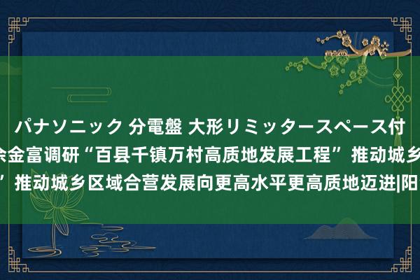 パナソニック 分電盤 大形リミッタースペース付 露出・半埋込両用形 余金富调研“百县千镇万村高质地发展工程” 推动城乡区域合营发展向更高水平更高质地迈进|阳江|阳西县|江城区