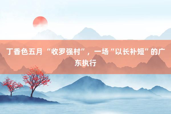丁香色五月 “收罗强村”，一场“以长补短”的广东执行