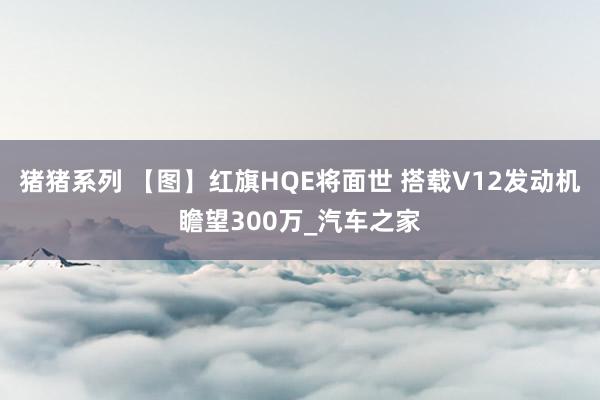 猪猪系列 【图】红旗HQE将面世 搭载V12发动机瞻望300万_汽车之家