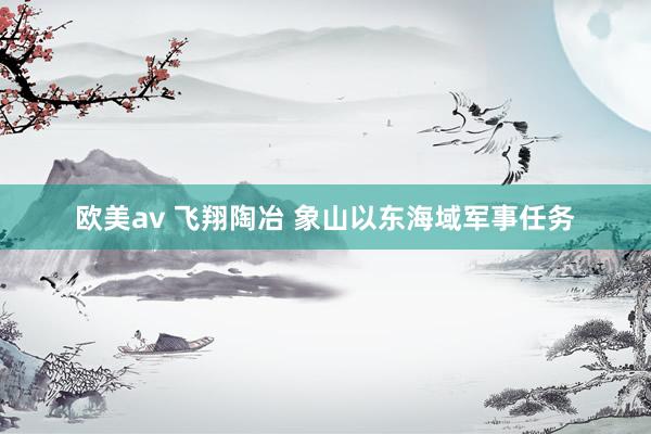 欧美av 飞翔陶冶 象山以东海域军事任务
