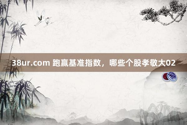 38ur.com 跑赢基准指数，哪些个股孝敬大02