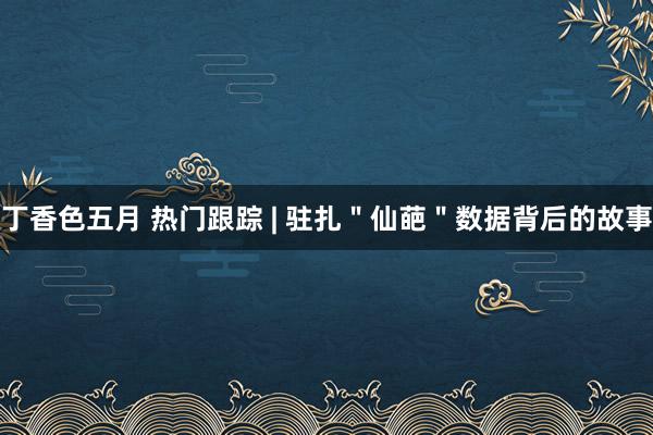 丁香色五月 热门跟踪 | 驻扎＂仙葩＂数据背后的故事