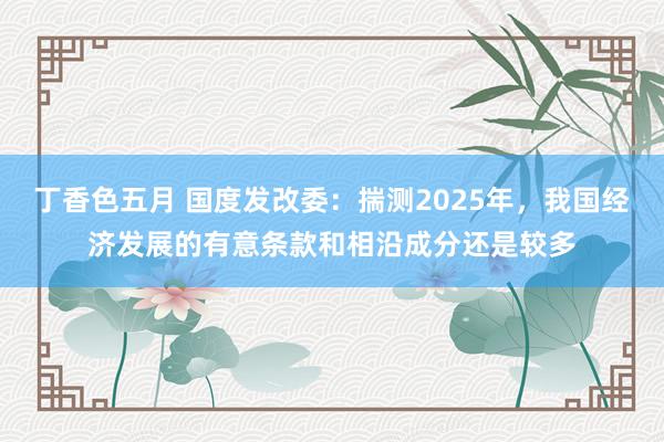 丁香色五月 国度发改委：揣测2025年，我国经济发展的有意条款和相沿成分还是较多