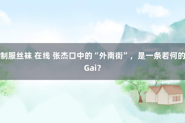 制服丝袜 在线 张杰口中的“外南街”，是一条若何的Gai？