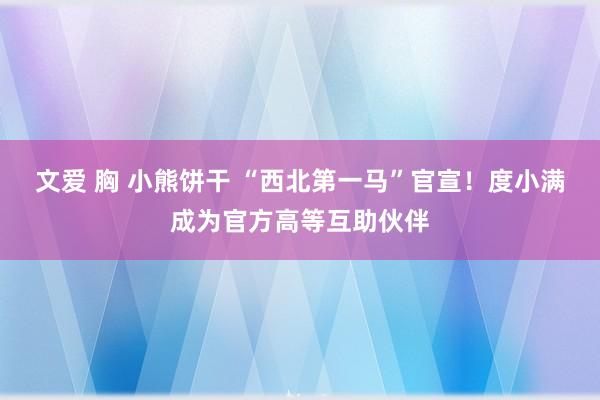 文爱 胸 小熊饼干 “西北第一马”官宣！度小满成为官方高等互